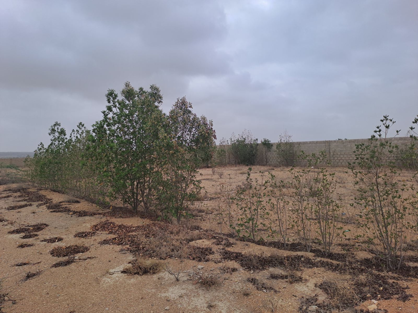 IFZK site assessment image 5