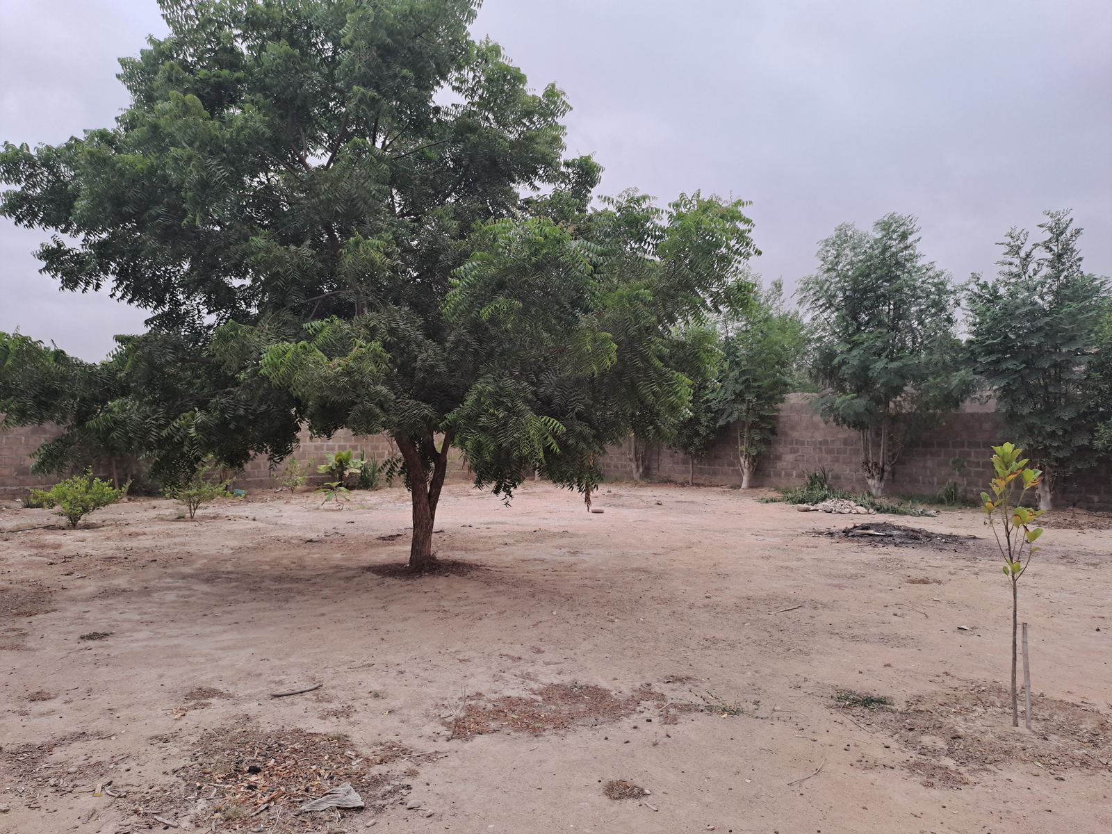 IFZK site assessment image 8
